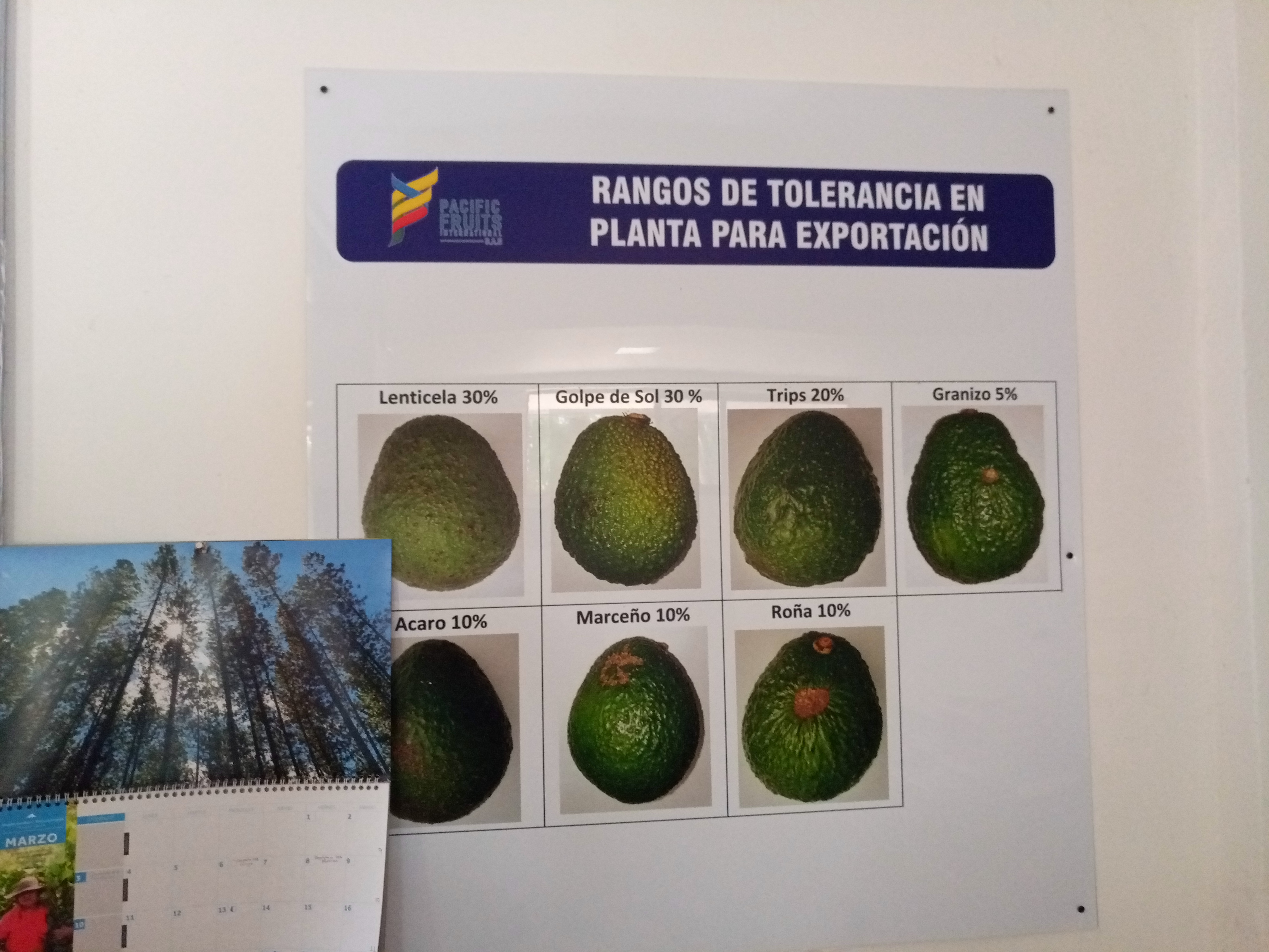 Fruta fresca Dorado División